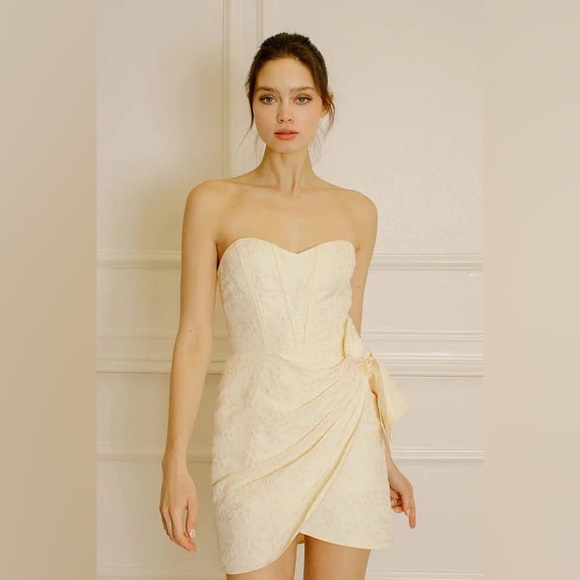 NWT Storia Floral Splotched Daisy Embossed Print Strapless Corset Mini Dress - Picture 1 of 13